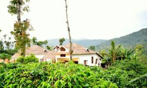 Exterior view of Astagiri Homestay building surrounded by lush coffee estate in Mudigere, Chikmagalur