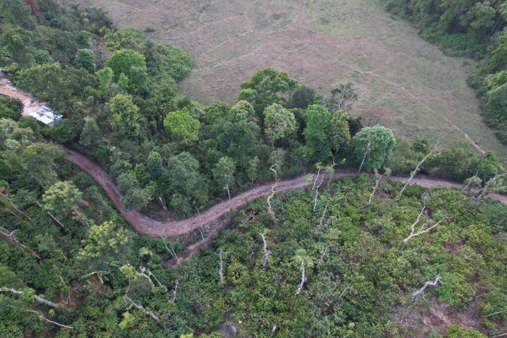 Aerial drone view of winding mud path through dense trees and green estate at Astagiri Homestay, Chikmagalur