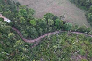 Aerial drone view of winding mud path through dense trees and green estate at Astagiri Homestay, Chikmagalur