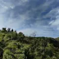 Mudigere