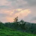  Samse Chikmagalur