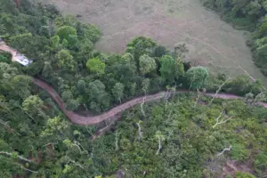 Aerial drone view of winding mud path through dense trees and green estate at Astagiri Homestay, Chikmagalur
