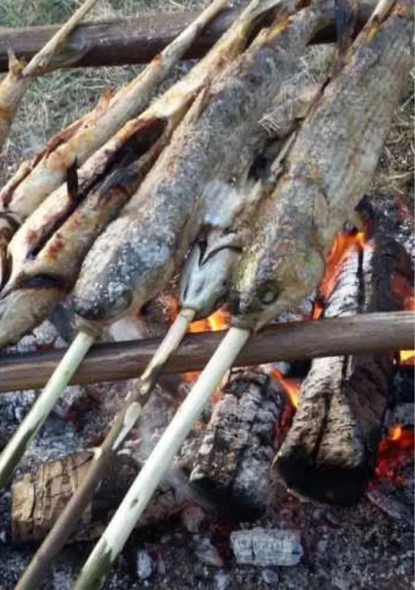 Fresh fish grilling over an open fire at Astagiri.