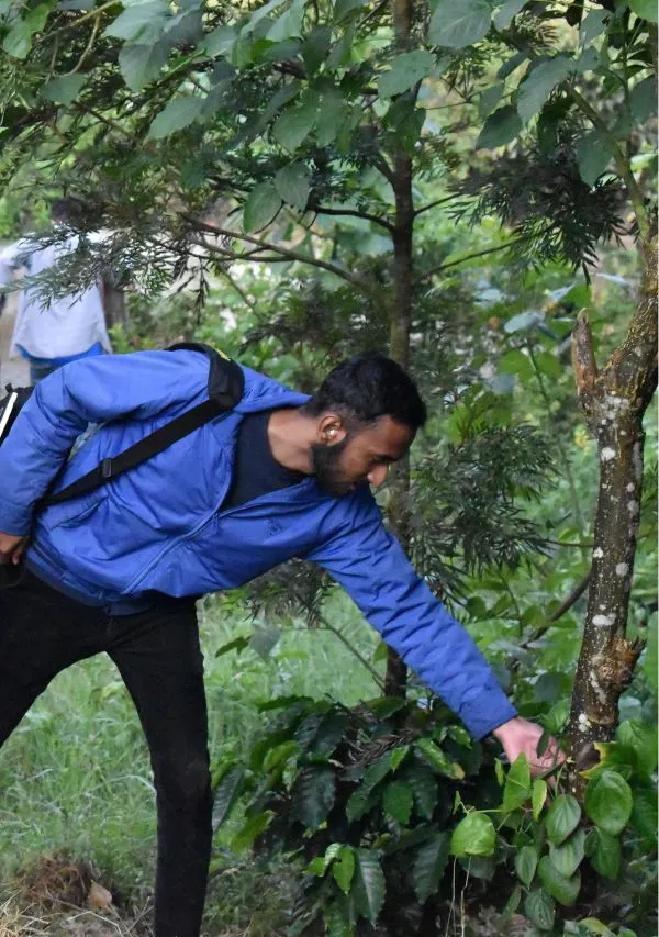 Walking into coffee estate chikmagalur