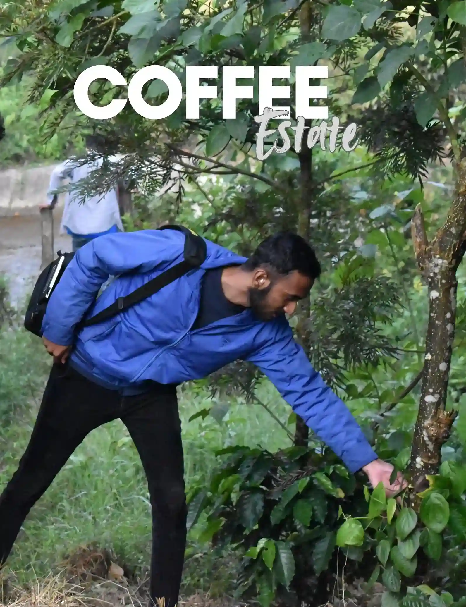 coffee-estate-walk-astagiri-homestay