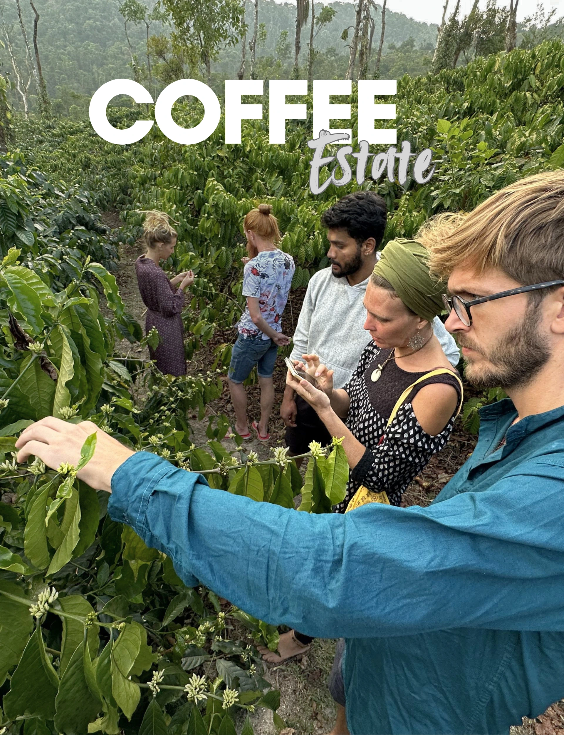 coffee-estate-walk-astagiri-homestay