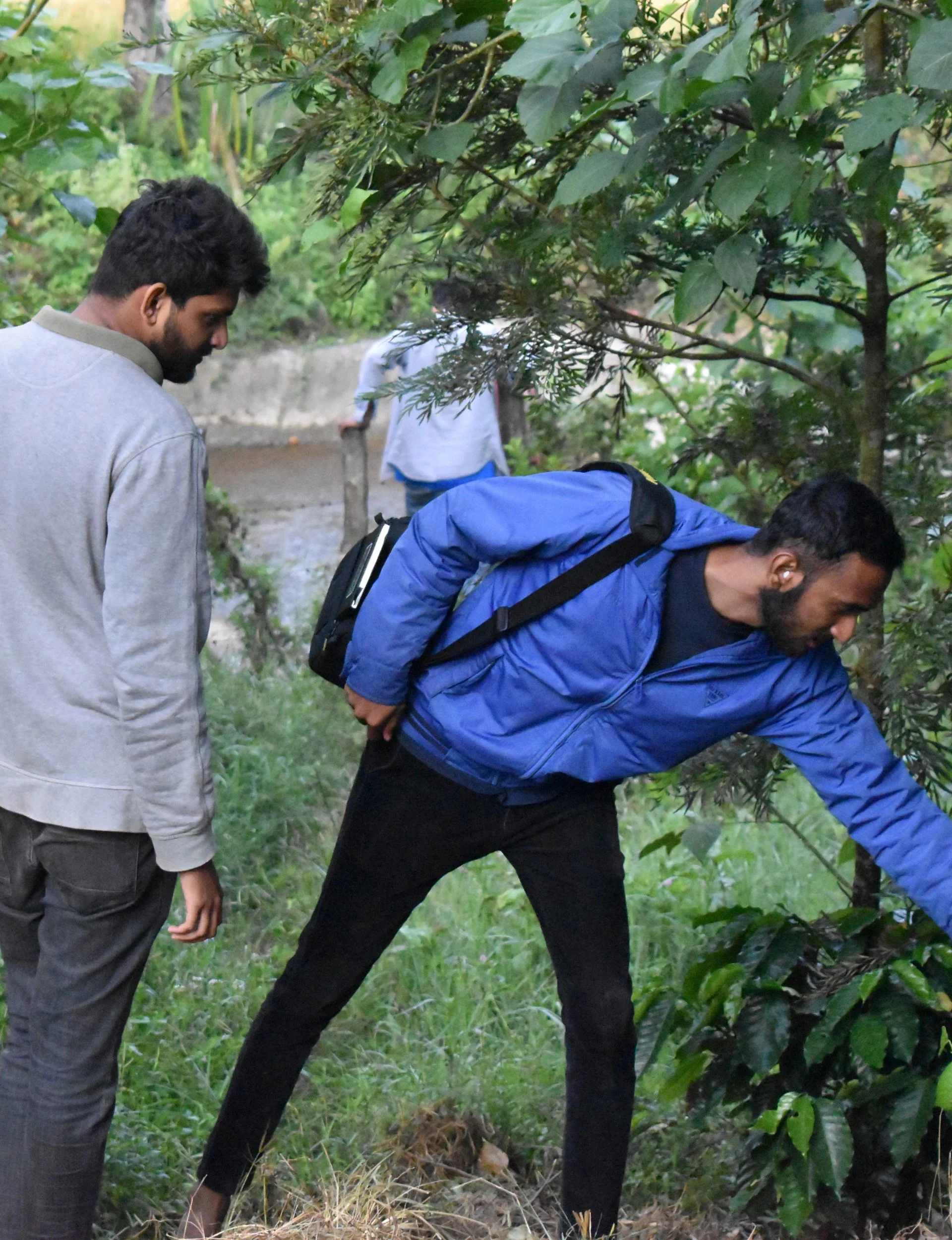 Coffee estate activities for guests staying in Chikmagalur