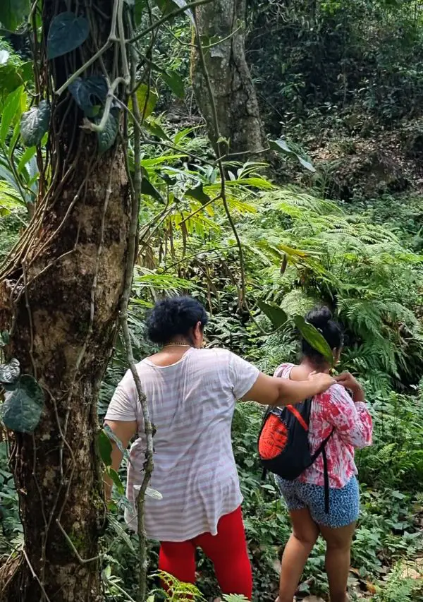Guests river trekking through the forest near Astagiri homestay in Chikmagalur.
