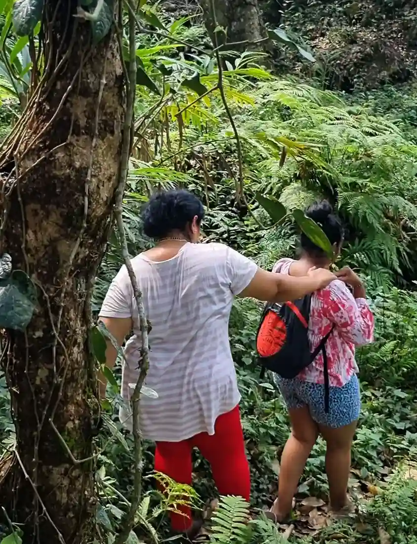 Guests exploring river trek in Mudigere coffee estate