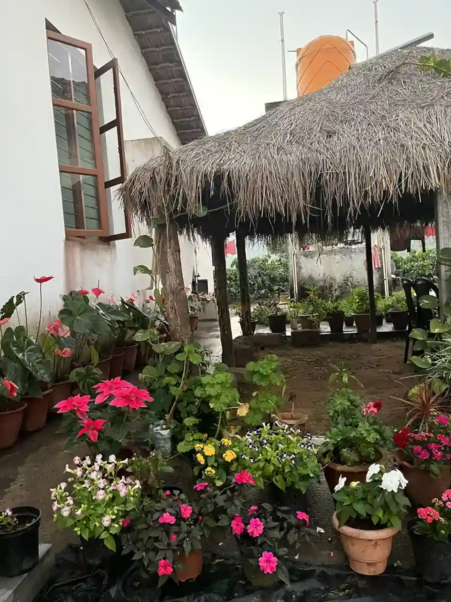 Garden with potted flowers and a thatched hut at Astagiri homestay in mudigere