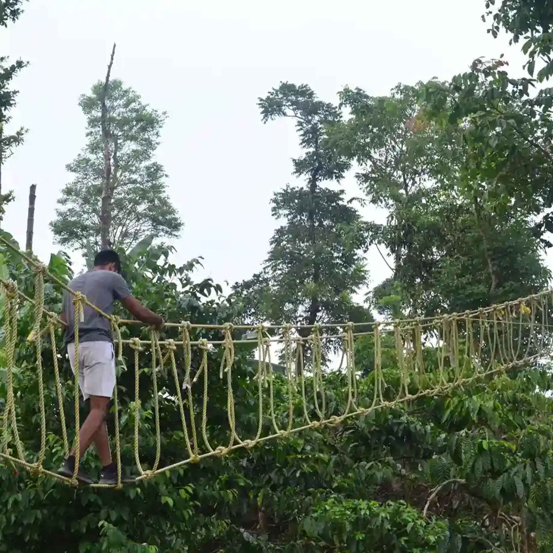 adventure-activity-in-mudigere-homestay