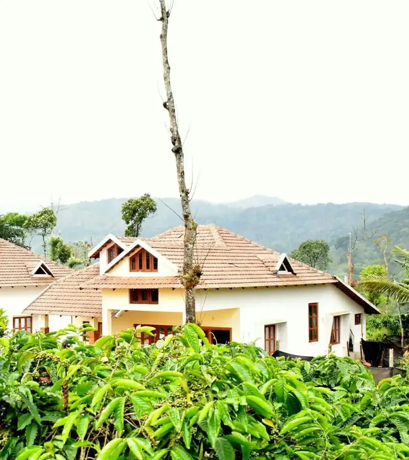 Exterior view of Astagiri Homestay building surrounded by lush coffee estate in Mudigere, Chikmagalur