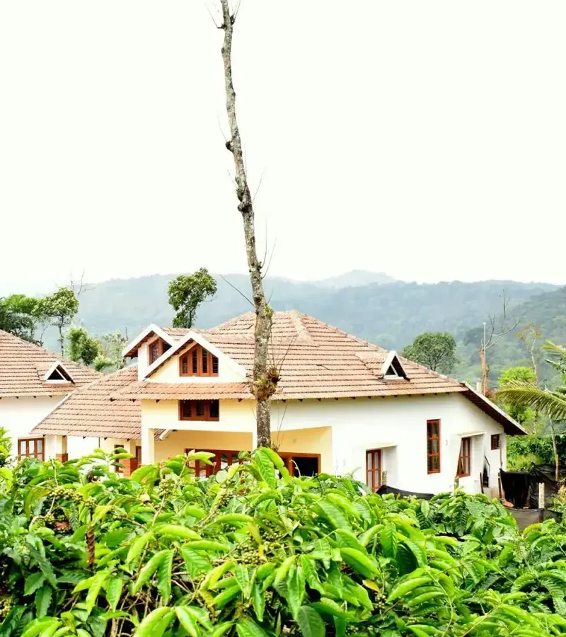 Exterior view of Astagiri Homestay building surrounded by lush coffee estate in Mudigere, Chikmagalur