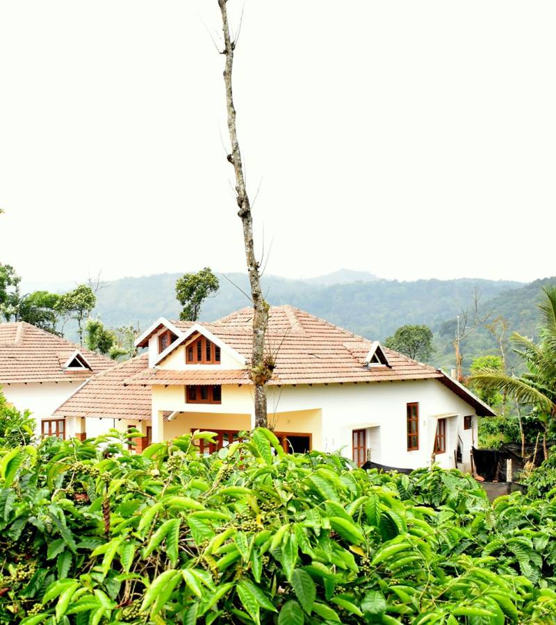 Exterior view of Astagiri Homestay building surrounded by lush coffee estate in Mudigere, Chikmagalur