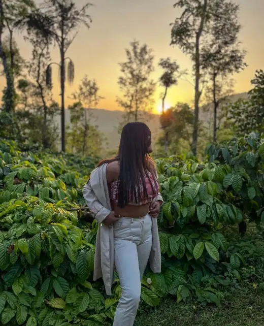 Guest enjoying sunset at a coffee estate homestay in Chikmagalur